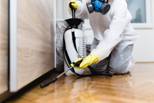 Best Termite Control Services  in Roseville, OH