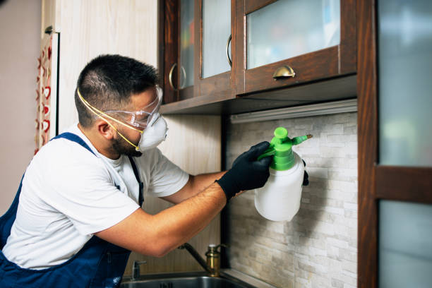 Best Affordable Pest Control Services  in Roseville, OH