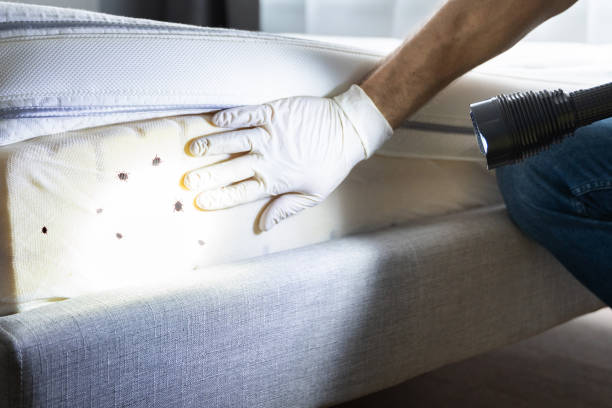 Roseville, OH Pest Control Company