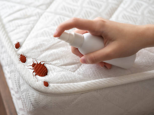 Best Exterminator Services  in Roseville, OH